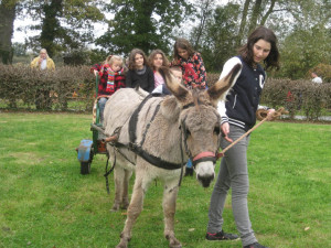 Balade en cariole pour les enfants