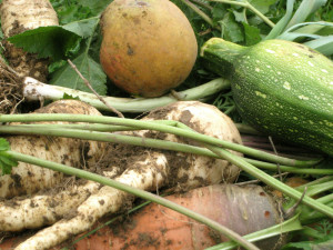 Des légumes sains en toutes saisons